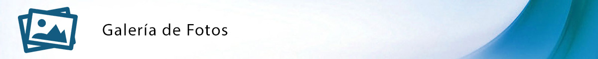 banner-galeria